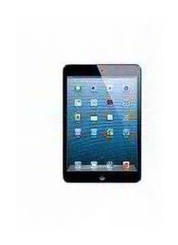 iPad mini Wi-Fi 32GB - Black